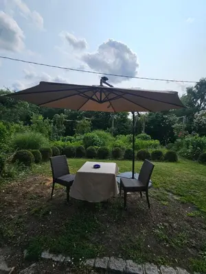 Jardin de l'établissement Chez Clark et Elo