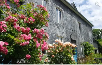 Jardin de l'établissement Le Neufbosc