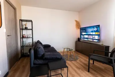 Télévision ou salle de divertissement dans l'établissement T2 cosy avec parking