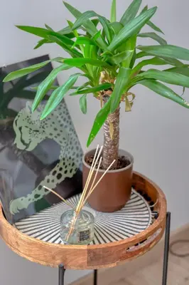 Plan de l'établissement La Kaz Bali jolie maison de ville avec jardin