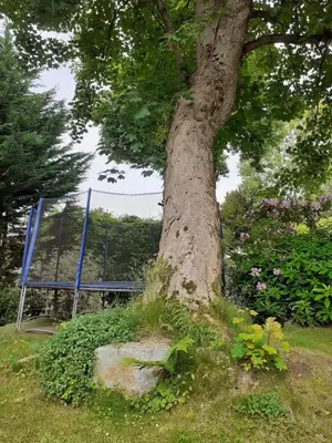 Jardin de l'établissement Manoir de l'As de Trèfle