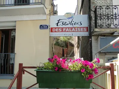 Certificat, récompense, panneau ou autre document affiché dans l'établissement Les Pélicans