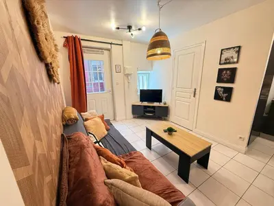 Télévision ou salle de divertissement dans l'établissement T2 Ambiance Savane - hyper centre