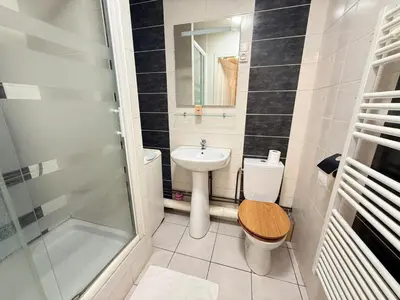 Salle de bains dans l'établissement T2 Ambiance Savane - hyper centre