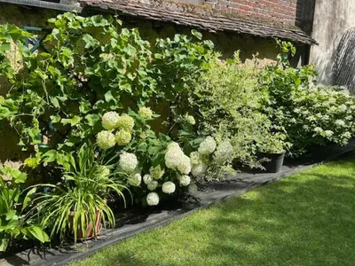 Jardin de l'établissement STUDIO VOYAGE COLONIAL CLIMATISE chic
