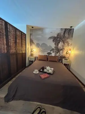 Un ou plusieurs lits dans un hébergement de l'établissement STUDIO VOYAGE COLONIAL CLIMATISE chic