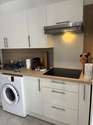 Cuisine ou kitchenette dans l'établissement Charmant T4 avec jardin, proche jardin des plantes