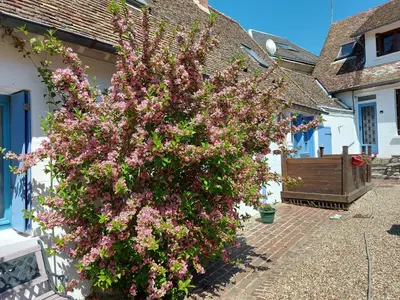 Jardin de l'établissement Chez Robins