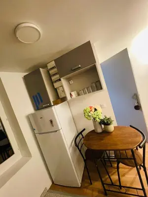 Cuisine ou kitchenette dans l'établissement Magnifique Appartement rénové en juin 2025