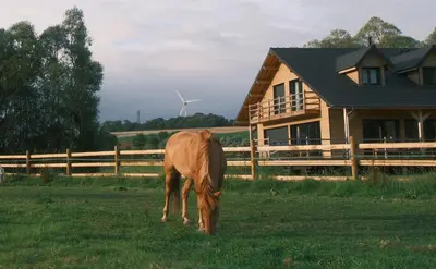 Animaux dans la villa ou à proximité