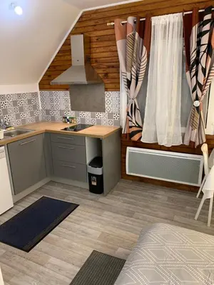 Cuisine ou kitchenette dans l'établissement Studio 2 A3M Locations