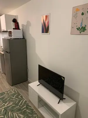 Cuisine ou kitchenette dans l'établissement Duplex T2 A3M Locations