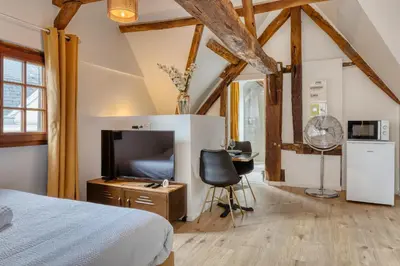 Télévision ou salle de divertissement dans l'établissement Eveil 4 le refuge lumière sous les toits de Rouen