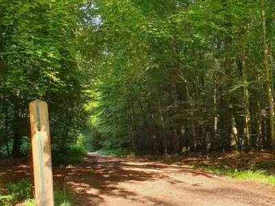 Paysage naturel près de le camping