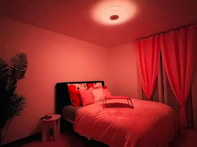Un ou plusieurs lits dans un hébergement de l'établissement Apartment T2 L'Isle Adam, Garden Terrace