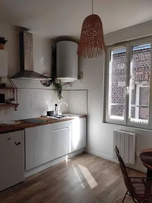 Cuisine ou kitchenette dans l'établissement Cabane Jungle Appt 2p cosy calme Rouen fac