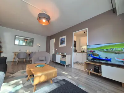 Télévision ou salle de divertissement dans l'établissement Appartement Le Sea's Home Centre Historique
