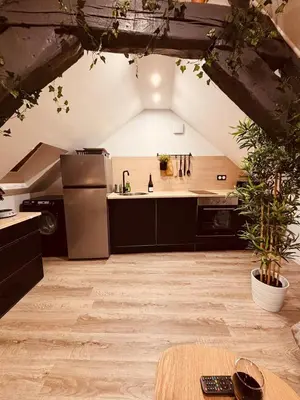 Cuisine ou kitchenette dans l'établissement L' URBAN Jungle - Evasion en centre-ville