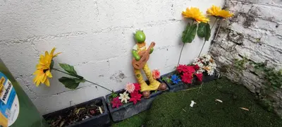 Jardin de l'établissement Le Morel