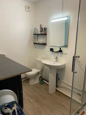 Salle de bains dans l'établissement Le Vegas
