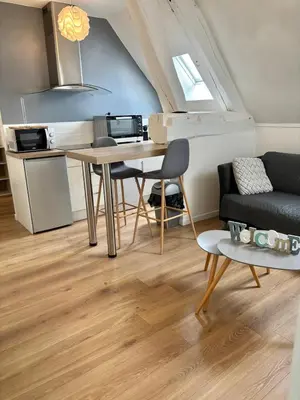 Cuisine ou kitchenette dans l'établissement Appt au pied de la cathédrale-parking dans la cour