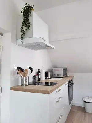 Cuisine ou kitchenette dans l'établissement Le Fleurybis - Appartement calme proche de Rouen