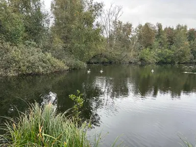 Vue sur la rivière ou le fleuve situé(e) à proximité de la maison de vacances