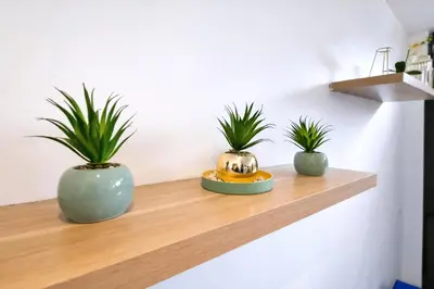 Plan de l'établissement Studio avec terrasse