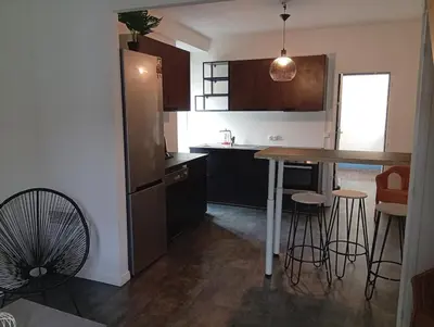 Cuisine ou kitchenette dans l'établissement Duplex aux Portes de Seine