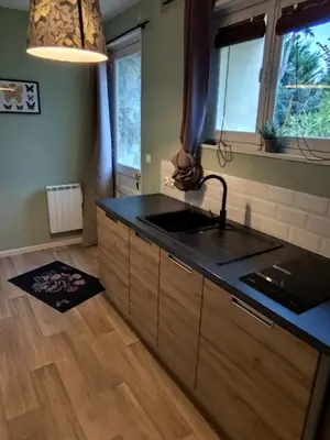 Cuisine ou kitchenette dans l'établissement Gite de charme, parc arboré , Chantilly 5'