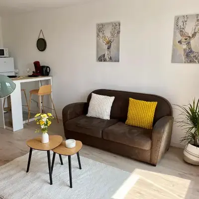Appartement T2 40m2 coeur de Rouen Front de Seine