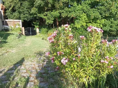 Jardin de l'établissement Loisirs, rando, golf et quiétude vexinoise