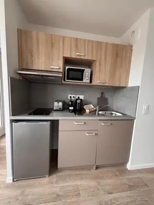Cuisine ou kitchenette dans l'établissement Cosy Diem Franconville