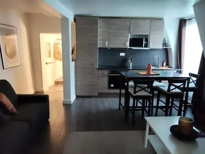 Cuisine ou kitchenette dans l'établissement Appartement charmant et moderne à Poissy