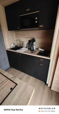 Cuisine ou kitchenette dans l'établissement Le cocon normand studio de jardin et son écrin de verdure