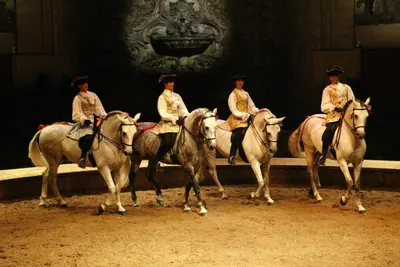 Équitation au sein de la maison d'hôtes ou à proximité