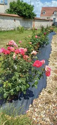 Jardin de l'établissement Gite de l'artiste