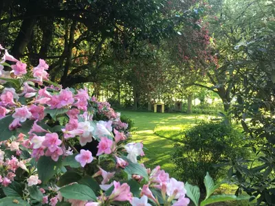 Jardin de l'établissement Gîte Gîtes de France® - La Tanevière