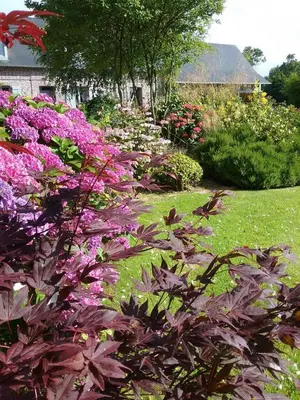 Jardin de l'établissement Gîte Gîtes de France® - Le Petit Marin