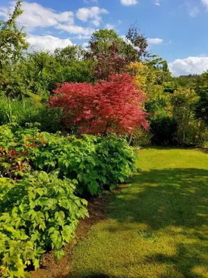 Jardin de l'établissement Gîte Gîtes de France® - Le Petit Marin