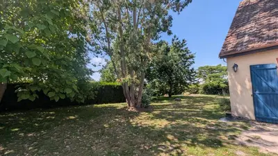 Jardin de l'établissement Gîte l'eucalyptus
