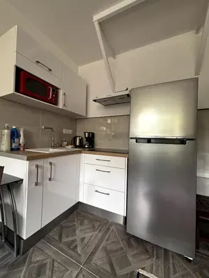 Cuisine ou kitchenette dans l'établissement Meissonier II