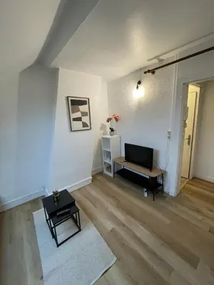 Télévision ou salle de divertissement dans l'établissement Cozy, fully equipped apartment - Downtown Rouen - 3 people