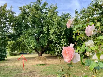 Jardin de l'établissement Le Grand Chêne