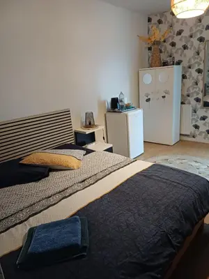 Cuisine ou kitchenette dans l'établissement Appartement partagé à Rouen une chambre privé pour vous !