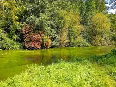 Paysage naturel près de la maison de vacances