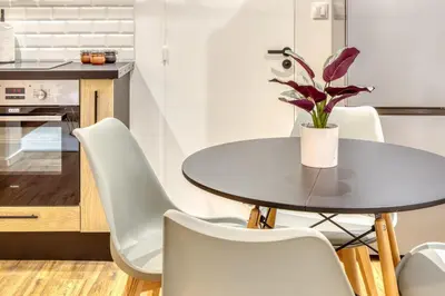 Cuisine ou kitchenette dans l'établissement L'écureuil voyageur joli duplex centre