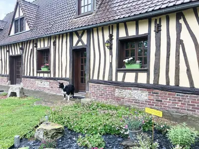 Animal ou animaux domestique(s) séjournant avec des clients dans l'établissement Holiday Home Gite 3 du Petit Pressoir zwischen Meer und Wald in der Nähe von Le Tréport Mer by Interhome