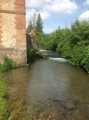 Paysage naturel près de l'appartement