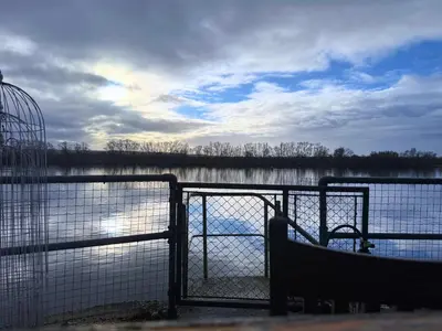 Vue sur la rivière ou le fleuve situé(e) à proximité de l'appartement
